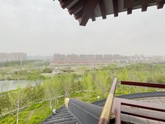 -桃花岛公园