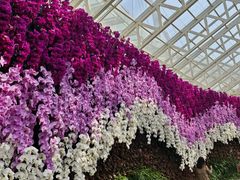 -石家庄市植物园