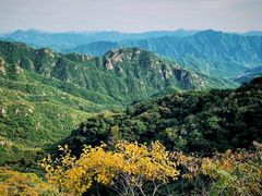 -大岭沟猕猴桃谷风景区