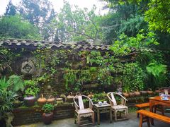 -青城甲(青城山店)