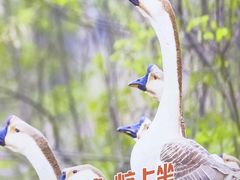 -锅老头海鲜铁锅炖