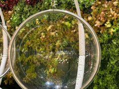 -青水瓦台汤泉(未央店)