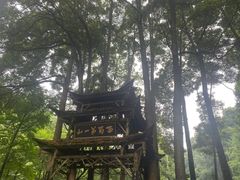 -青城山