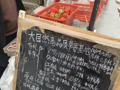 -大自然农场蔬菜草莓采摘园