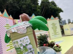 -野狸岛