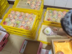 -老袁家蜜桃农场·阳山水蜜桃