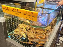 -品悦酒店(三林古镇店)
