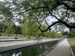 -元大都城垣遗址公园