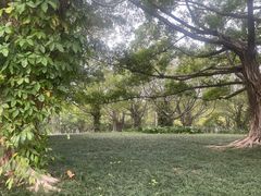 -南宁南湖公园