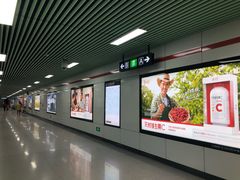 -紫庐(地铁站)
