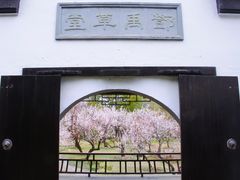 -司徒庙