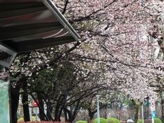 -南浦大桥长途旅游客运站