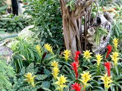 -北京植物园-展览温室