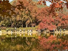 -西山人家·传统苏帮菜·家宴(木渎店)