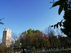 -金山公园