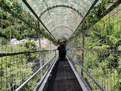 -野三坡刘家河高山漂流