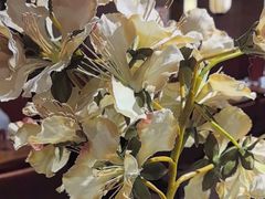 -金枝玉叶上海人家食府(三里河店)