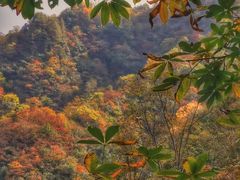 -神农架景区