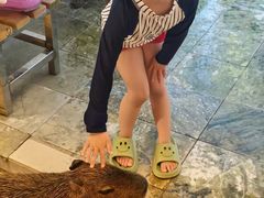 -郑州银基黄帝宫御温泉