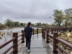 -长兴太湖图影湿地文化园