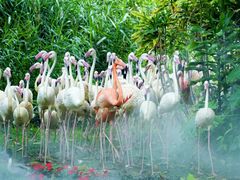 -Sony Store索尼(广州正佳店)