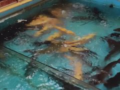 -醉美东江·三文鱼·烧鸡公