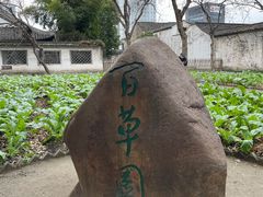 -绍兴鲁迅故里·沈园景区