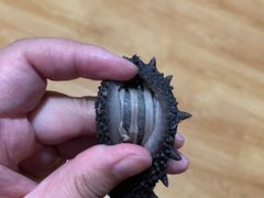 -大连熟食品交易中心