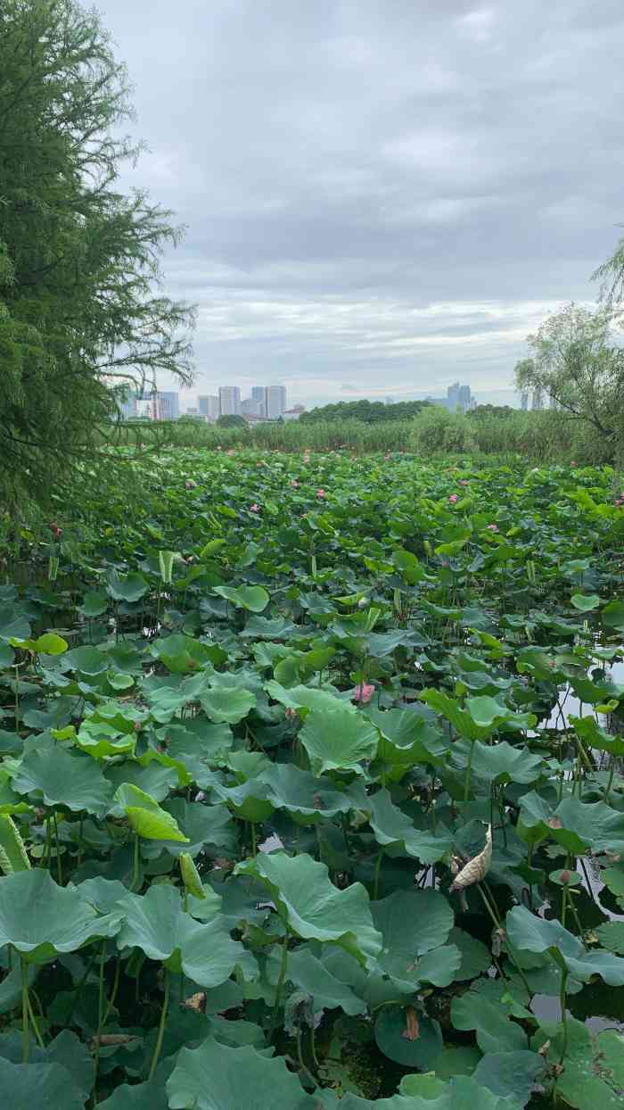 管社山庄公园