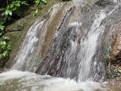 -西双版纳原始森林公园
