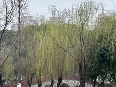 -沙河三洞古桥公园
