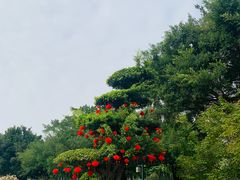 -南宁南湖公园