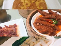-南枝记