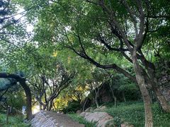 -青岛海滨风景区小鱼山