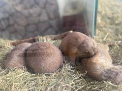 -海合安武汉极地海洋公园