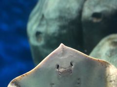 -福州罗源湾海洋世界旅游区