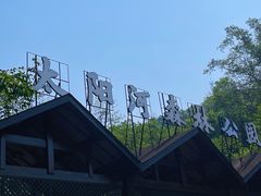 -普洱太阳河森林公园