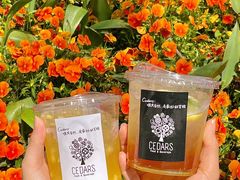 -LESCEDARS Brasserie Bistro香柏树