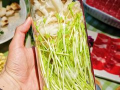 -番食园鲜食火锅(高新店)