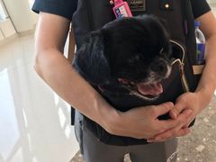-香港ELEMENTS圆方