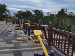 -金鸡岭桥头公园