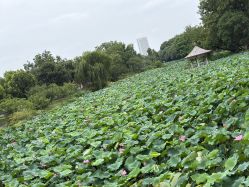 -玄武湖景区-情侣园游乐场