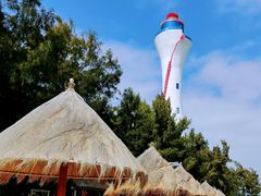 -北海金海湾红树林生态旅游区