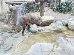 -成都动物园