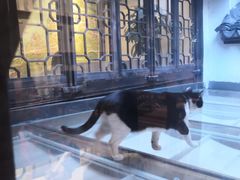 -猫的天空之城概念书店(杭州南宋御街店)