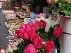 -循礼门鲜花花市(武汉循礼门店)