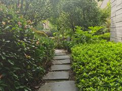 -上海崇明金茂凯悦酒店