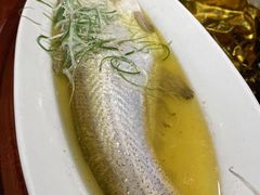 清蒸太湖白鱼-金枝玉叶上海人家食府(三里河店)