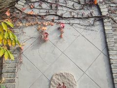 -天津盘山风景名胜区