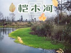 -桤木河湿地公园